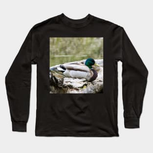 Mallard duck on a log Long Sleeve T-Shirt